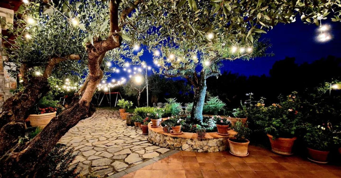 Hotel Relais Pian Delle Starze Marina di Camerota Ngoại thất bức ảnh