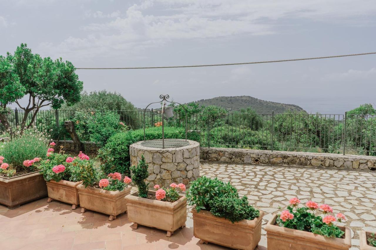 Hotel Relais Pian Delle Starze Marina di Camerota Ngoại thất bức ảnh